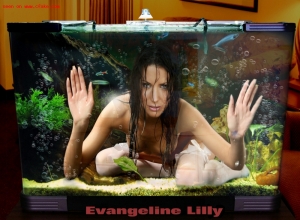 Fake : Evangeline Lilly