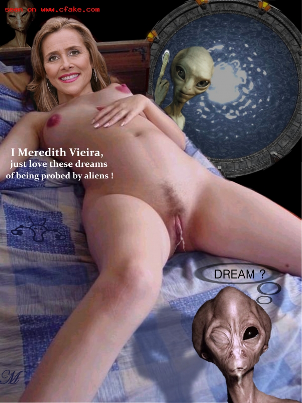 Meredith Vieira Fakes