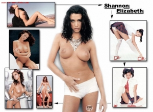 Fake : Shannon Elizabeth