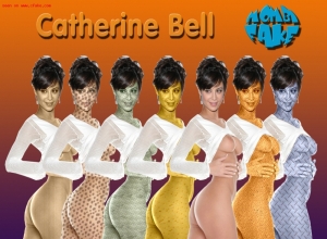 Fake : Catherine Bell