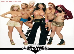 Fake : Pussycat Dolls