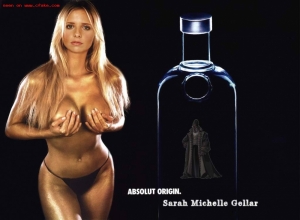 Fake : Sarah Michelle Gellar