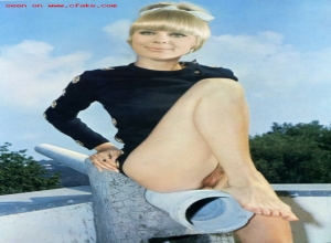 Fake : Elke Sommer