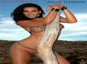 Fake : Angie Harmon