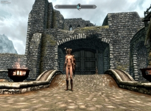 Fake : Skyrim