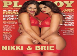 Fake : The Bella Twins