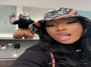 Fake : Megan Thee Stallion